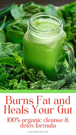 Green Juice that burns fat and heals your gut organic detox formula - product - clickbank