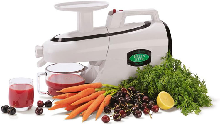 Product Tribest commercial juicer professional juicing machine amazon